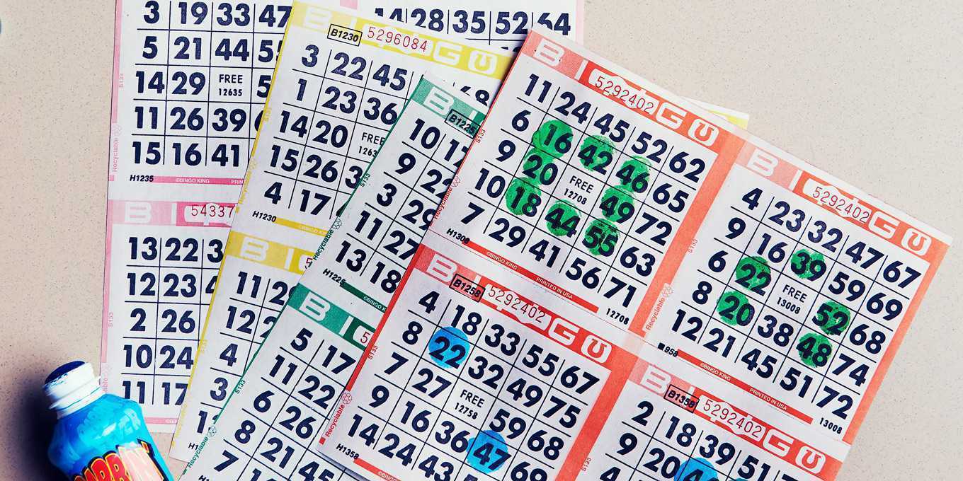 Bingo Online